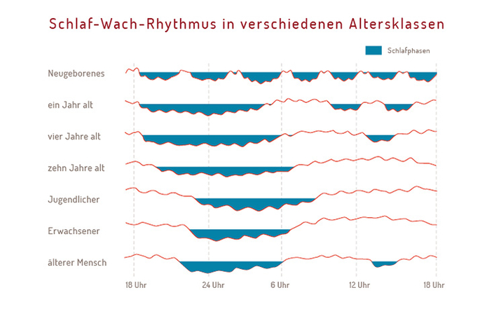 Schlaf-Wach-Rhythmus in den verschiedenen Altersphasen Schlaf-Wach-Rhythmus in den verschiedenen Altersphasen